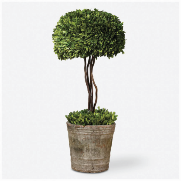  TOPIARY