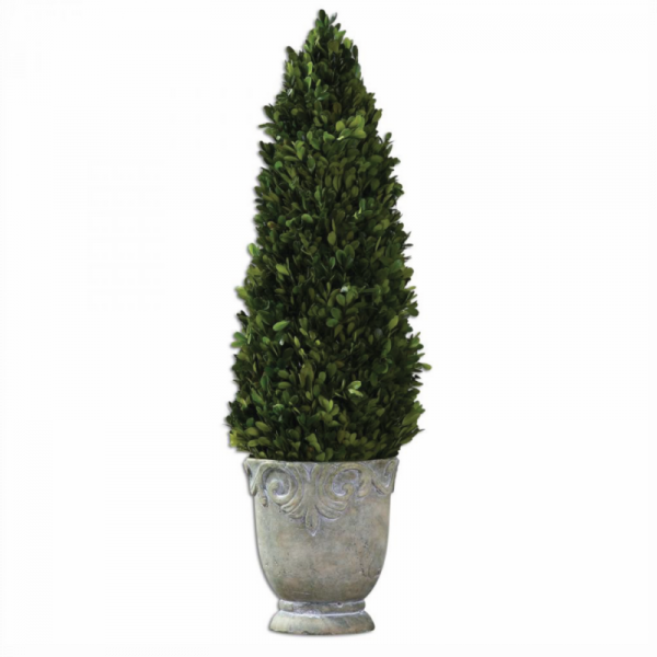 CONE TOPIARY
