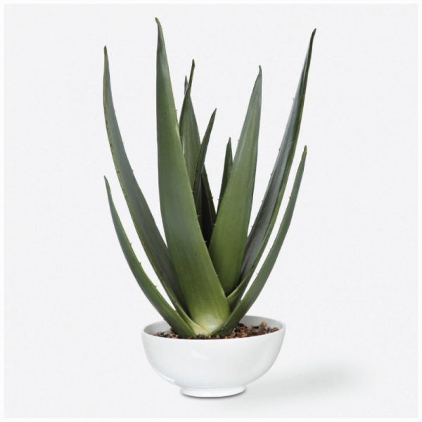 EVARADO ALOE
