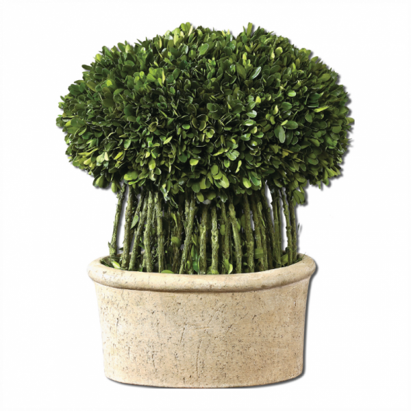 WILLOW TOPIARY