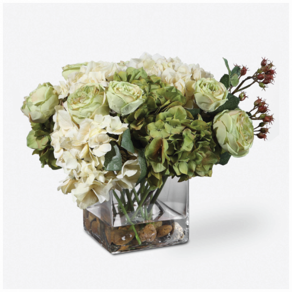 CECILY HYDRANGEA